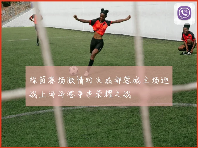 绿茵赛场激情对决成都蓉城主场迎战上海海港争夺荣耀之战
