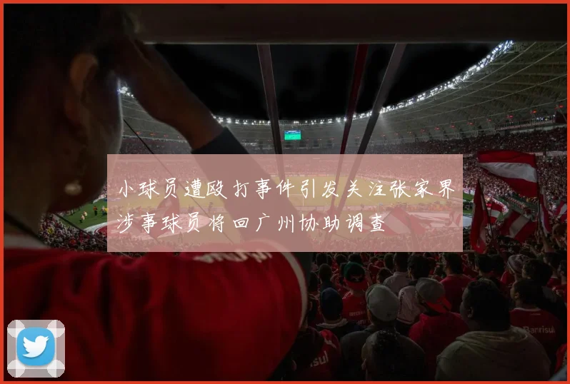 小球员遭殴打事件引发关注张家界涉事球员将回广州协助调查