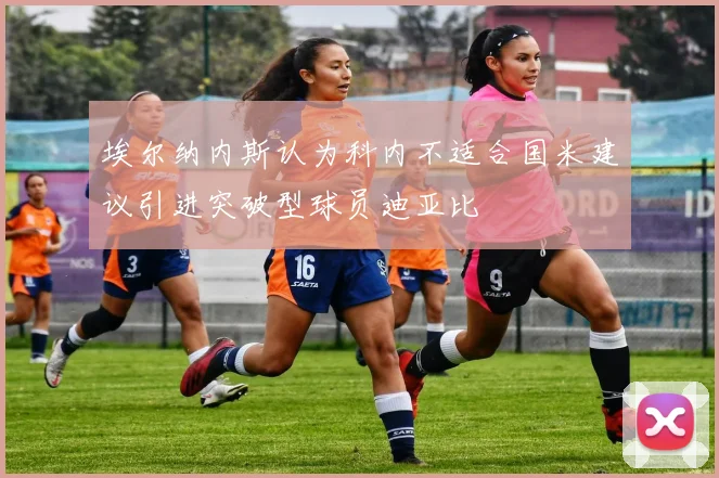 埃尔纳内斯认为科内不适合国米建议引进突破型球员迪亚比